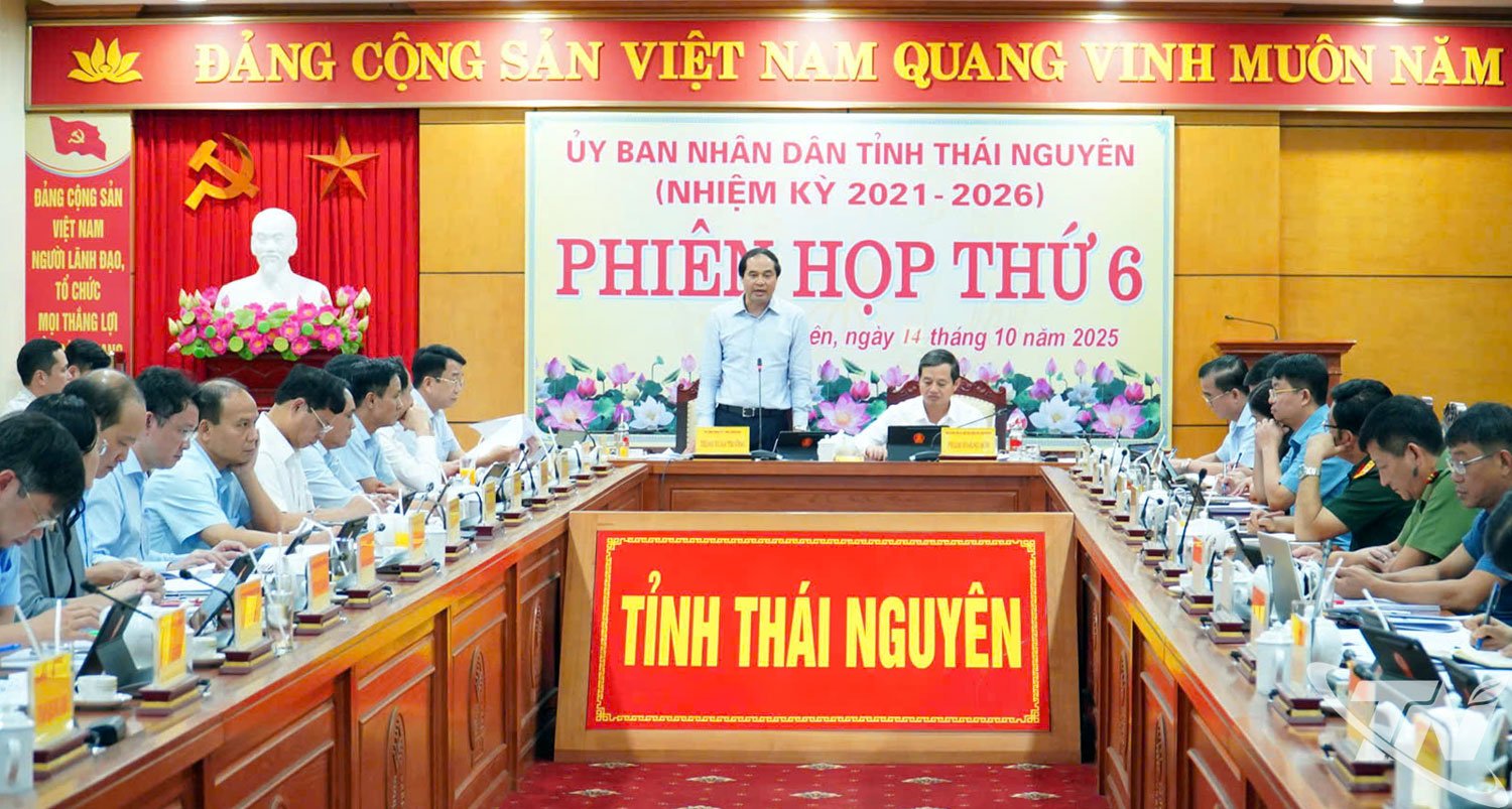 សមមិត្ត Trinh Xuan Truong លេខាបក្សខេត្តបានថ្លែងសុន្ទរកថាក្នុងកិច្ចប្រជុំ។