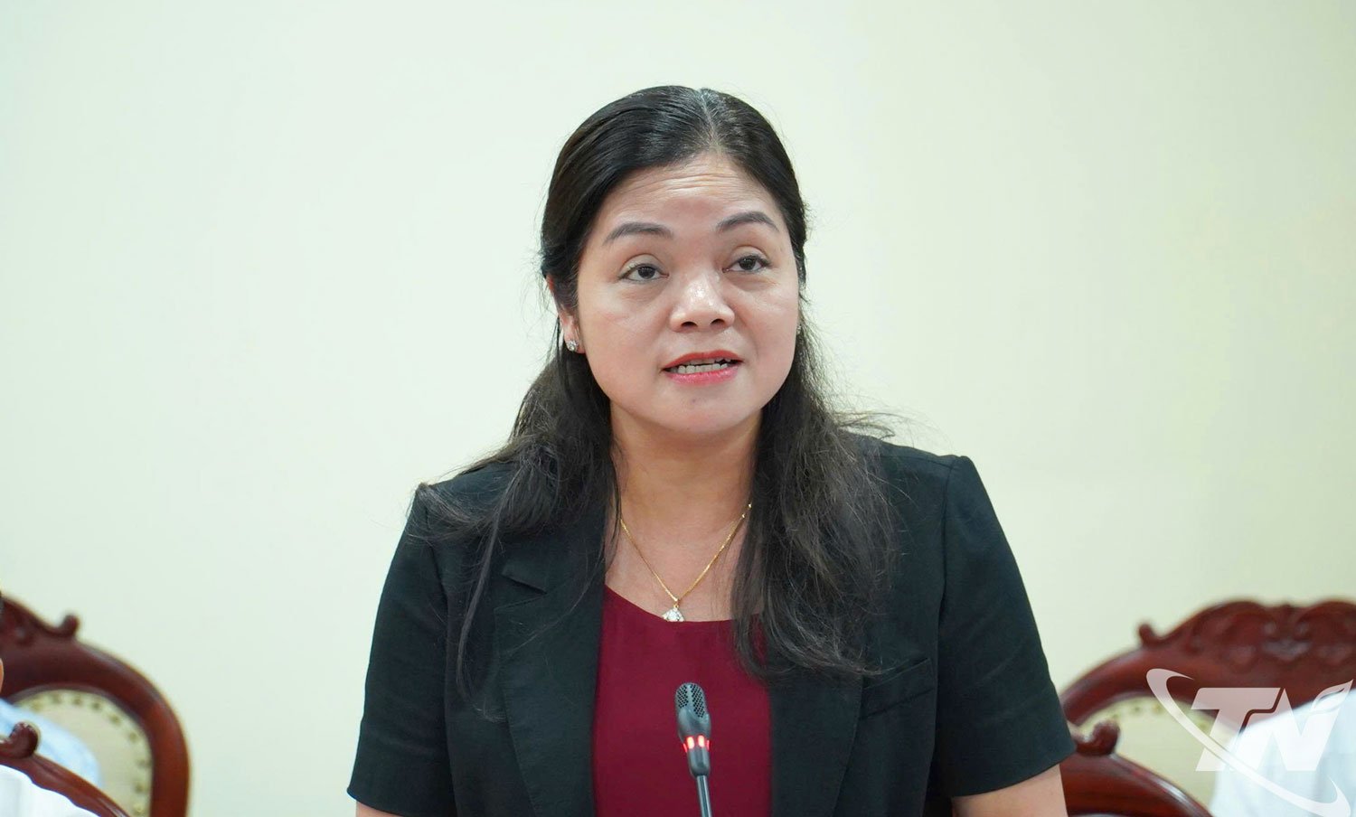 សមមិត្ត Nguyen Thi Loan អនុប្រធានគណៈកម្មាធិការប្រជាជនខេត្ត ថ្លែងមតិក្នុងកិច្ចប្រជុំ។