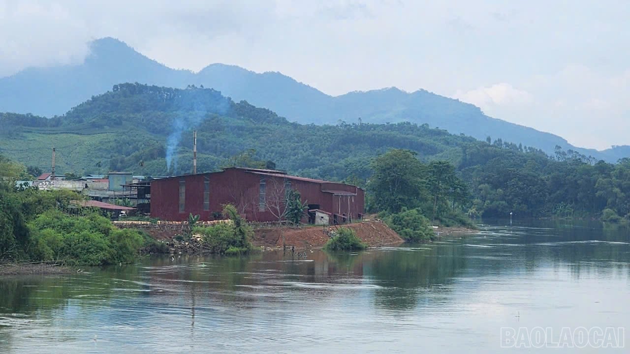 baolaocai-br_z7107159923728-4f343e854045085646398832b079b49b.jpg