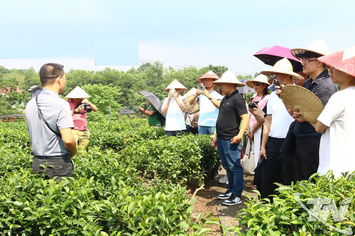 Thái Nguyên: Du lịch bền vững - hướng đi tất yếu thời hội nhập - Ảnh 1.