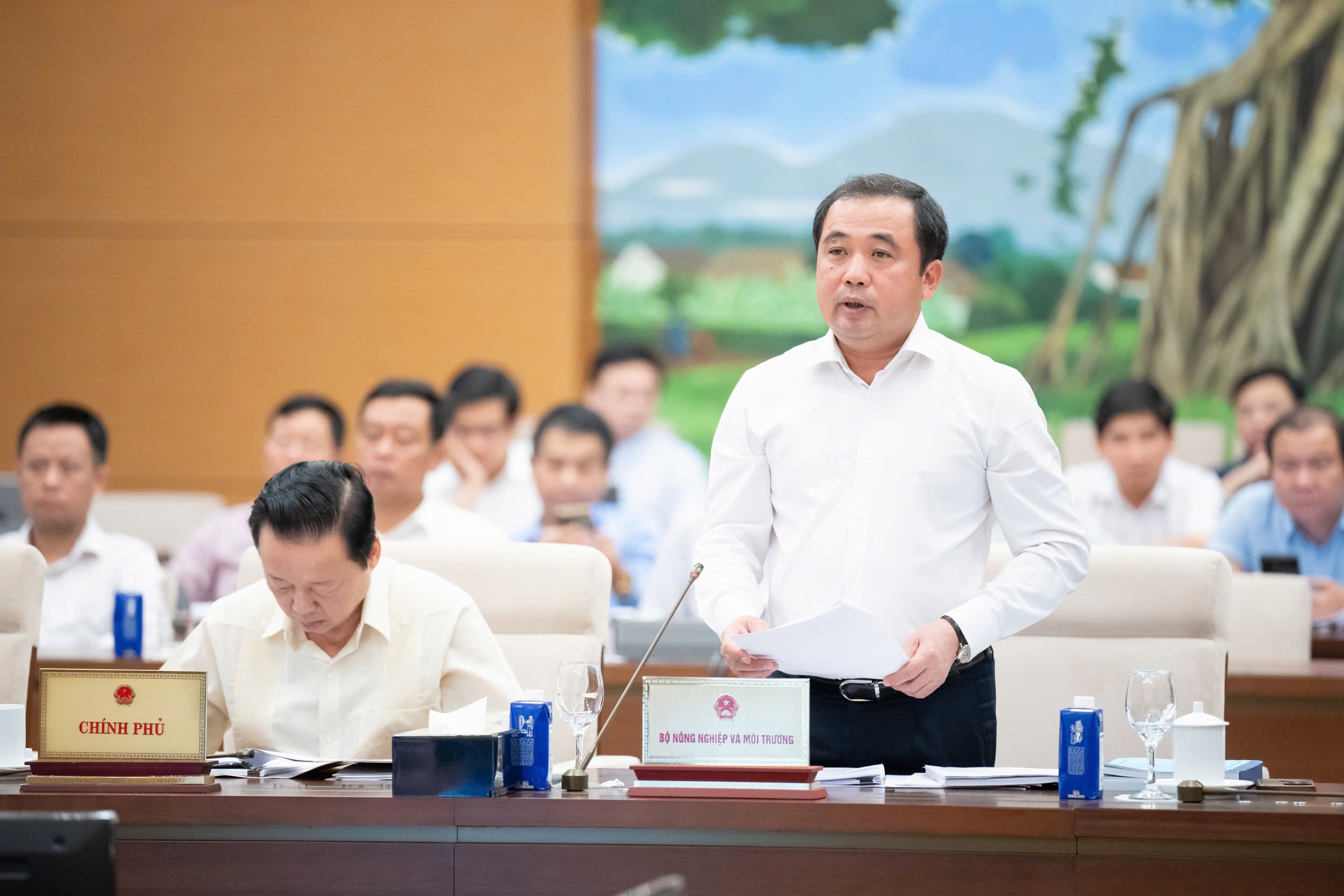 'Bây giờ đô thị như Đà Nẵng, Cần Thơ, Hải Phòng, Hà Nội cứ mưa là ngập'- Ảnh 1.