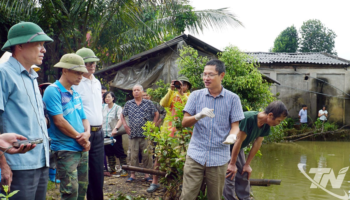 Pusat Penyuluhan Pertanian Nasional menyumbangkan disinfektan lingkungan dan pupuk mikroba Que Lam