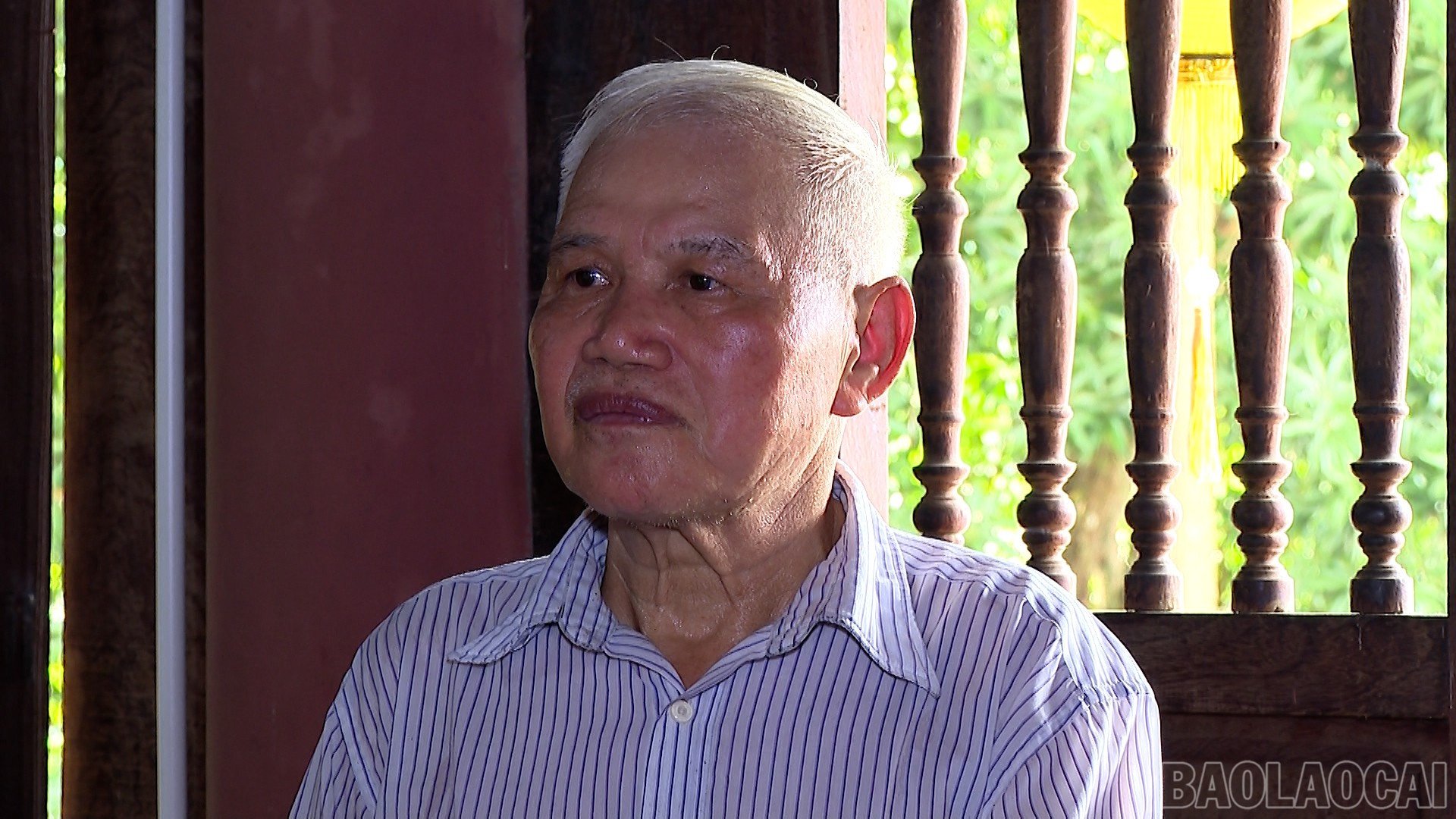 baolaocai-br_1.jpg