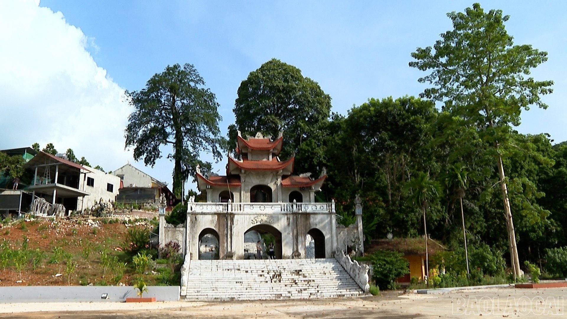 baolaocai-br_2.jpg
