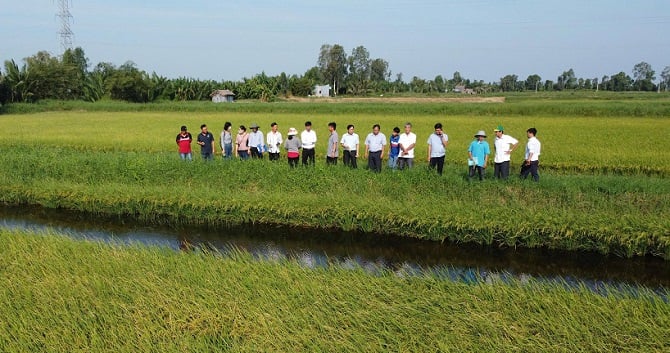 về sản xuất nông nghiệp, duy trì ổn định và phát triển tốt