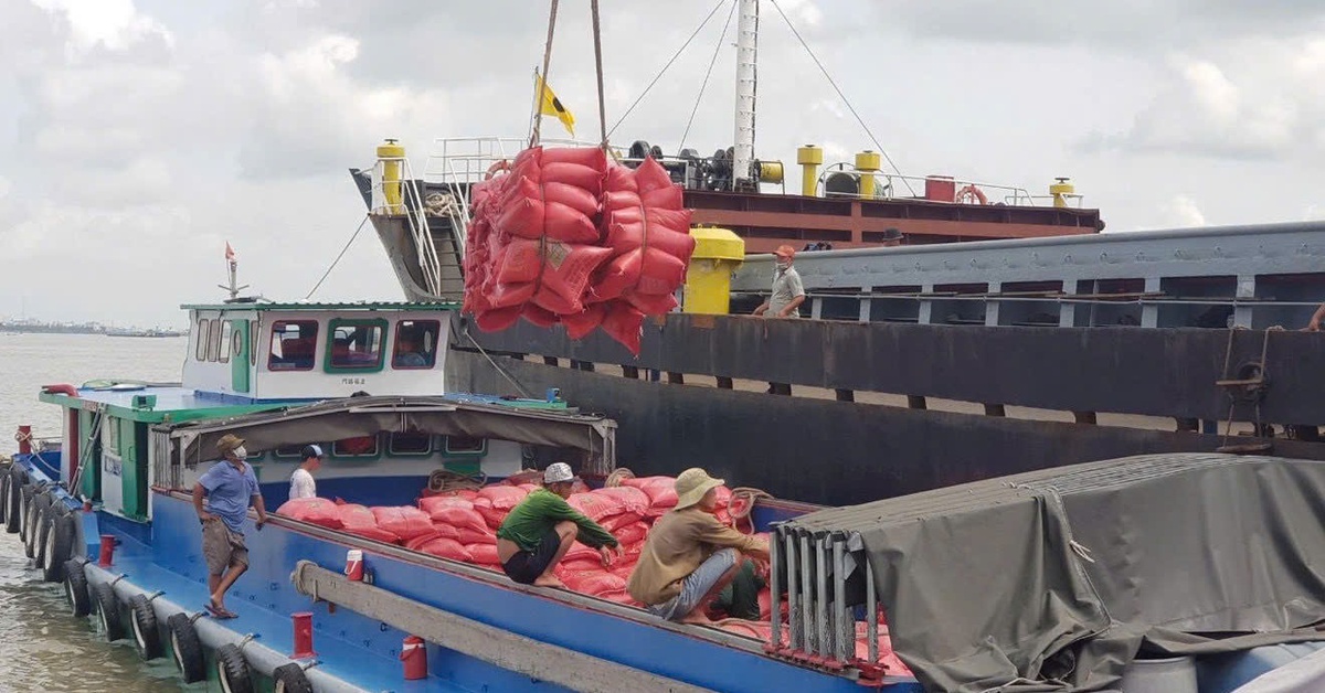 Doanh nghiệp Việt làm gì khi Philippines tính kéo dài lệnh cấm nhập khẩu gạo?