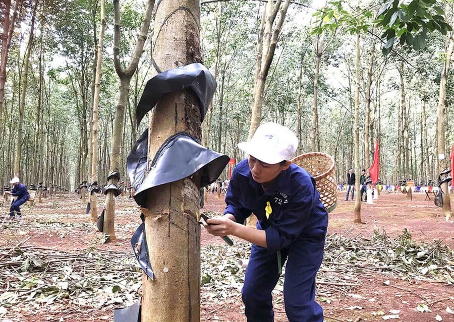 Thực hiện phong trào thi đua, mỗi công nhân, người lao động trong đơn vị luôn đoàn kết, trách nhiệm và sẵn sàng sẻ chia. Ảnh: V.H