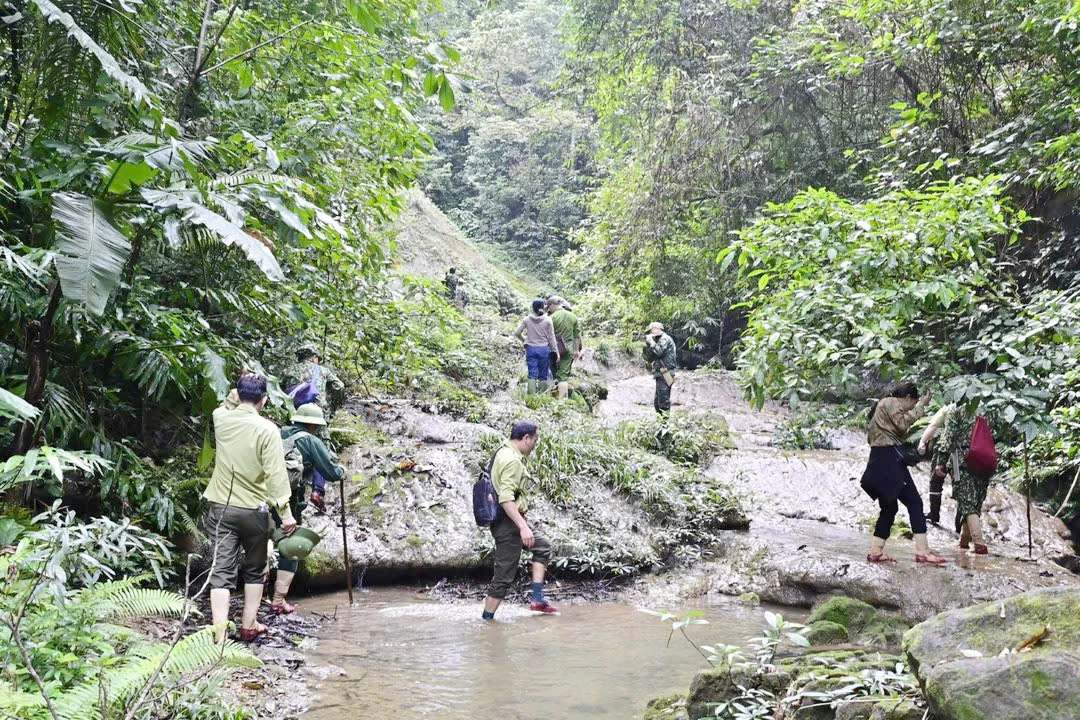 Phu Minh villagers and authorities inspect the community forest - Photo: X.V