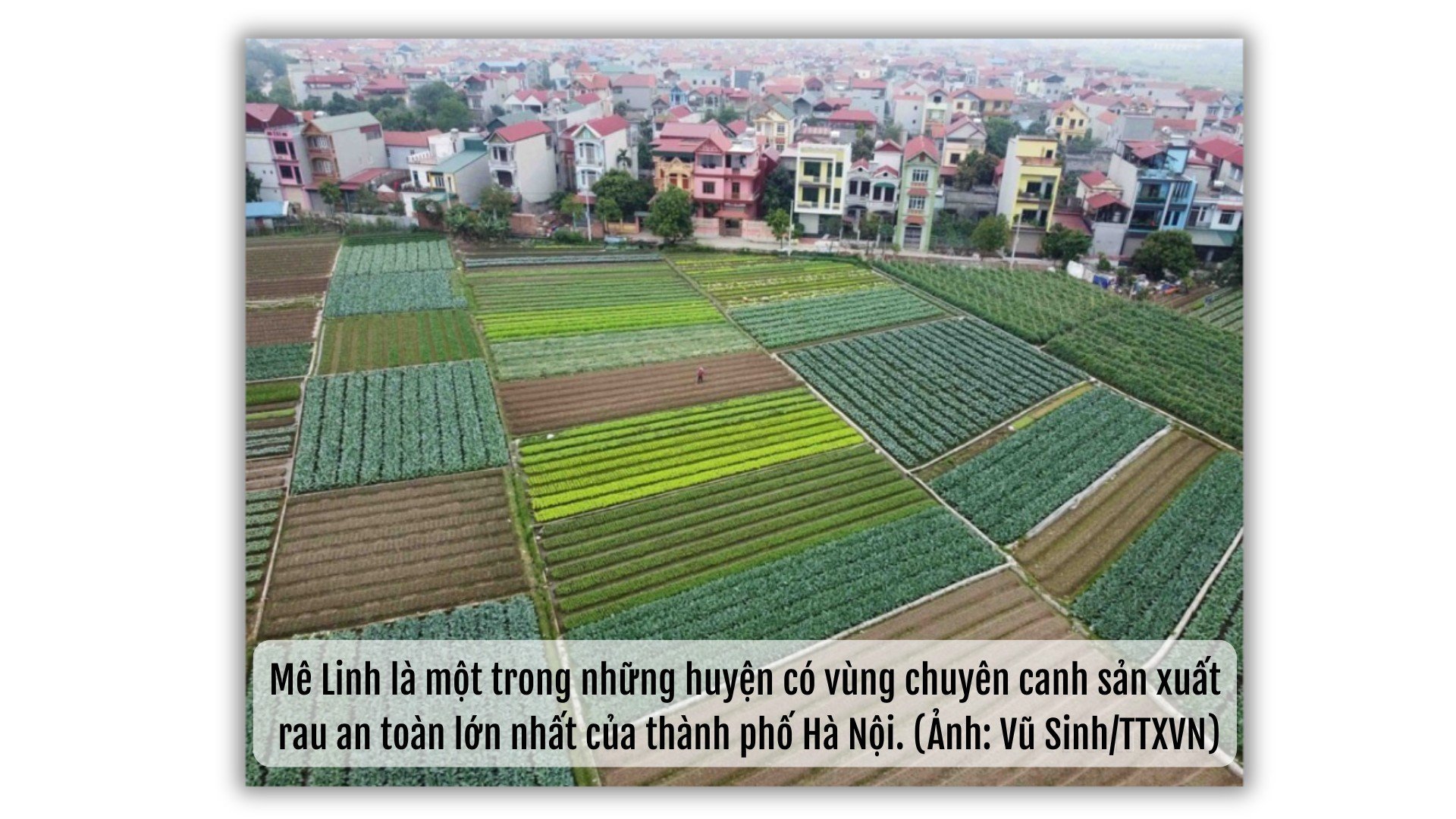 ha-noi-dot-ph-a-2.png