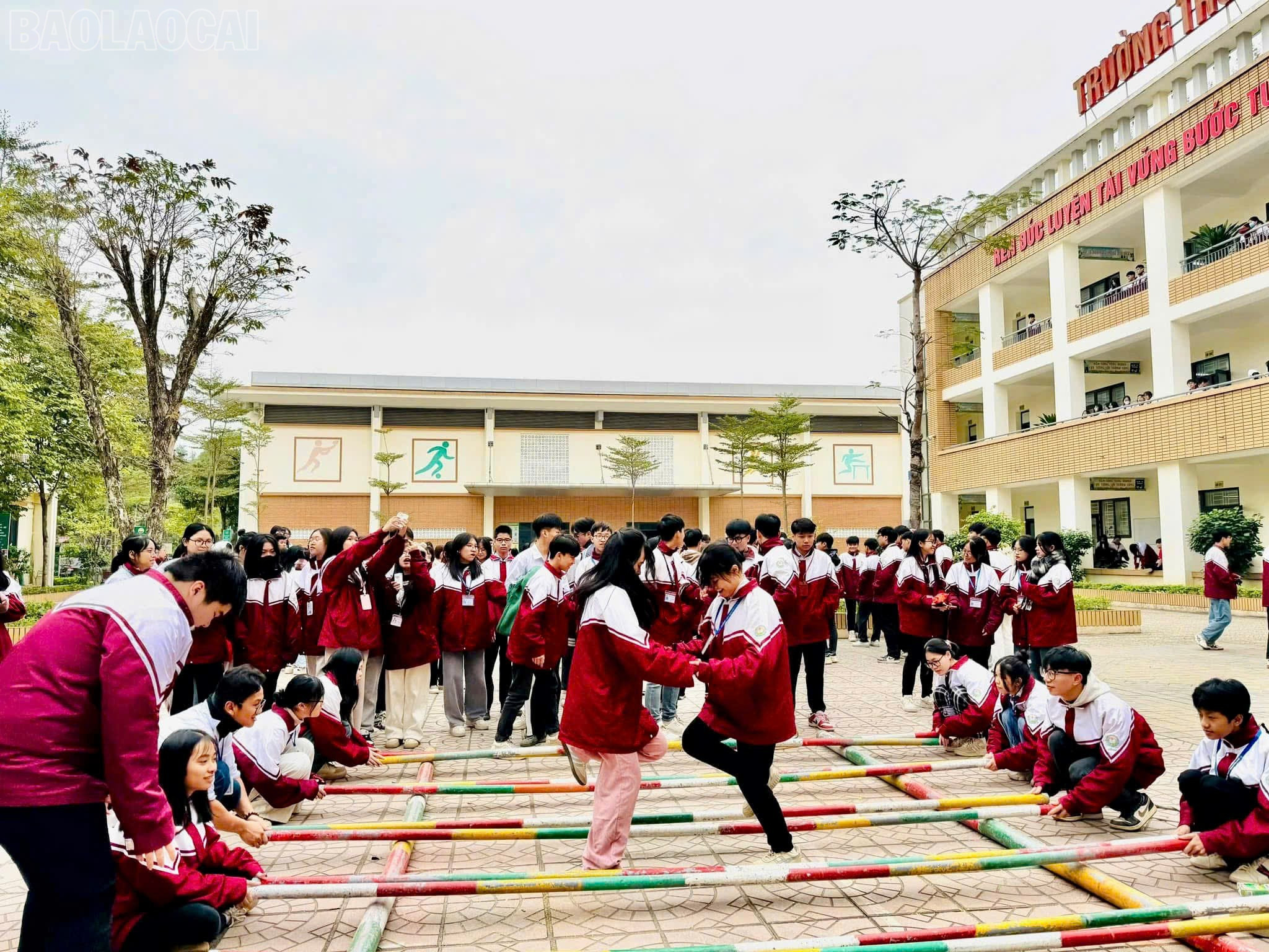 baolaocai-tl_z7115212052870-e32d466e951a6dbd6abf5b21d51c08dd.jpg