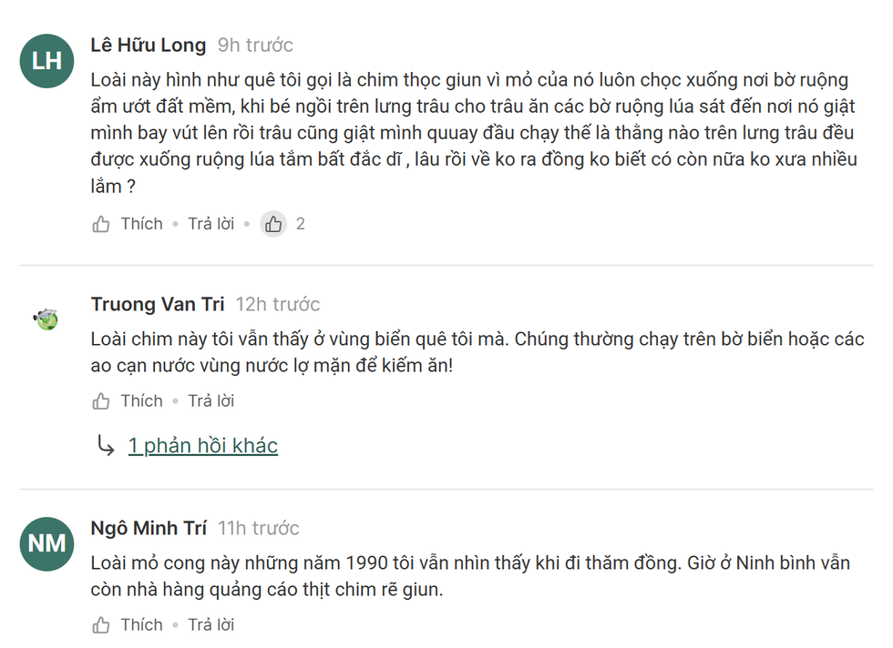 Thực hư việc loài chim tuyệt chủng được cho là xuất hiện tại Việt Nam - 1