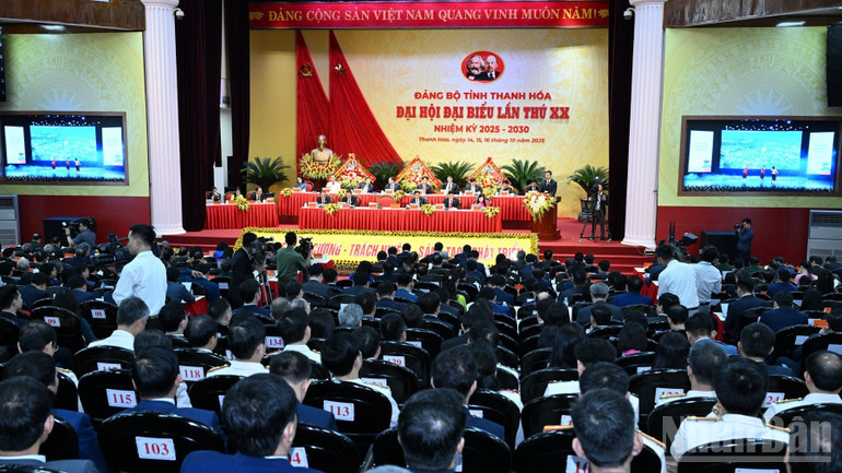 ndo_br_a1-7004.jpg