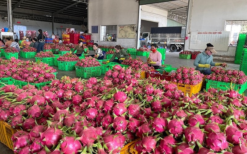រូបភាព (1)