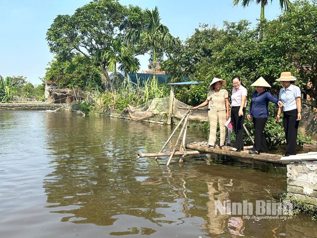 ດ້ວຍການນຳໃຊ້ທຶນບຸລິມະສິດຈາກທະນາຄານນະໂຍບາຍສັງຄົມຫວຽດນາມ ຢ່າງມີປະສິດທິຜົນ, ນາງ ເຈີ່ນທິລຽນ, ໝູ່ບ້ານ 6, ຕາແສງ ຮາງດົງ, ປະຈຸບັນມີພື້ນຖານເສດຖະກິດໝັ້ນຄົງ, ສາມາດສົ່ງລູກທັງ 3 ຄົນເຂົ້າໂຮງຮຽນ.