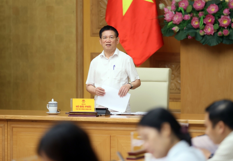 ホー・ドゥック・フック副首相がマネーロンダリング対策運営委員会の会議を主宰した - 写真3。 Phó Thủ tướng Hồ Đức Phớc chủ trì cuộc họp Ban Chỉ đạo phòng chống rửa tiền- Ảnh 3.