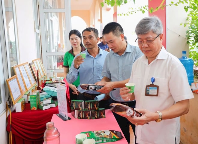 Kieu Phu fördert die Verknüpfung des Konsums sicherer landwirtschaftlicher Produkte mit dem Ziel einer nachhaltigen Entwicklung – Foto 5. Kiều Phú đẩy mạnh liên kết tiêu thụ nông sản an toàn, hướng đến phát triển bền vững- Ảnh 5.