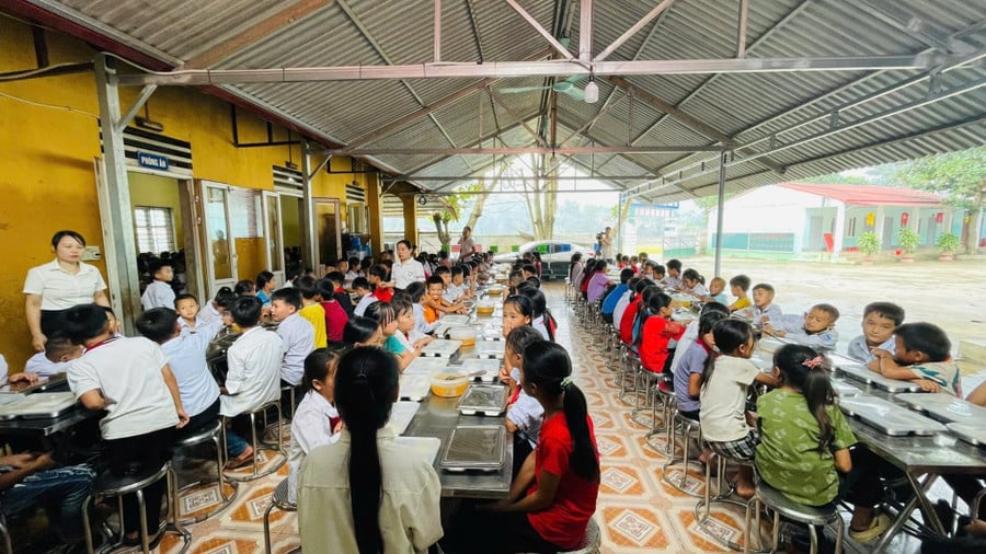 on-dinh-day-hoc-noi-tam-bao-di-qua4.jpg