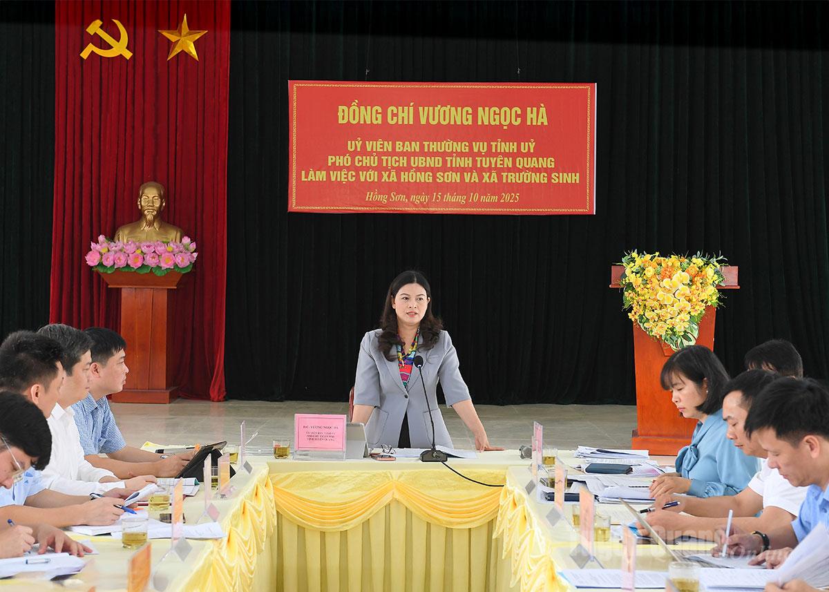 Vice ordförande för provinsens folkkommitté, Vuong Ngoc Ha, talade vid mötet.