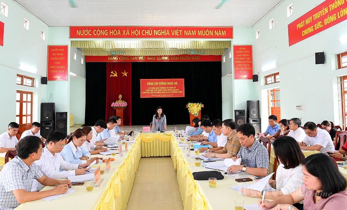 Den provinsiella folkkommitténs arbetsdelegation arbetade med kommunerna Hong Son och Truong Sinh på de kulturella och sociala områdena efter omorganiseringen av administrativa enheter på kommunnivå.