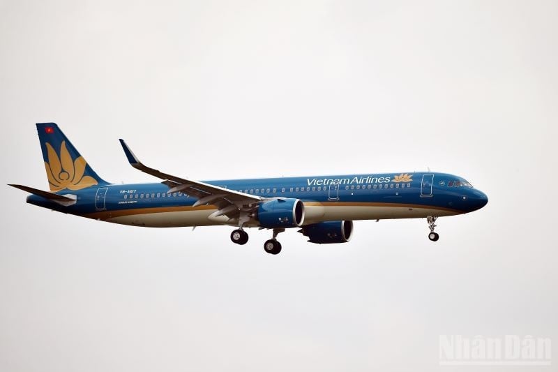 A Vietnam Airlines afirma que dados confidenciais, como cartões de crédito, informações de pagamento, senhas, itinerários, passaportes e saldos de contas Lotusmiles dos clientes ainda são mantidos em segurança.