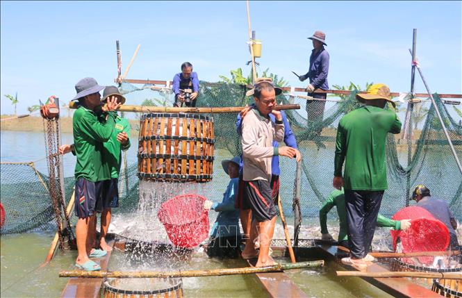 ចំណងជើងរូបថត
