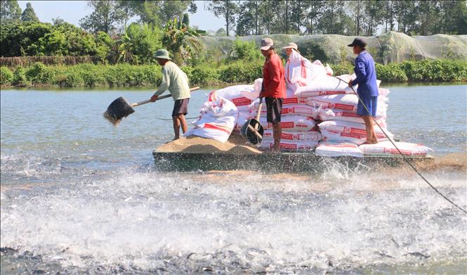 ចំណងជើងរូបថត