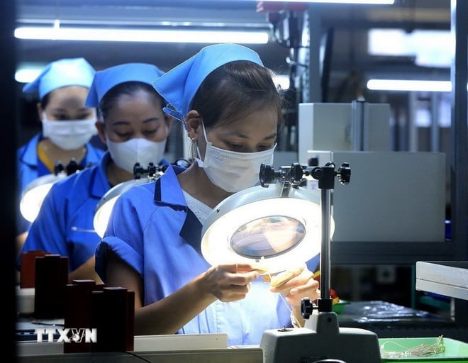 ttxvn-anh02.jpg