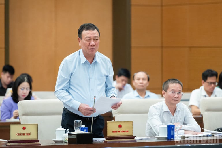 ndo_br_z61-5248-tong-thanh-tra-chinh-phu-doan-hong-phong.jpg