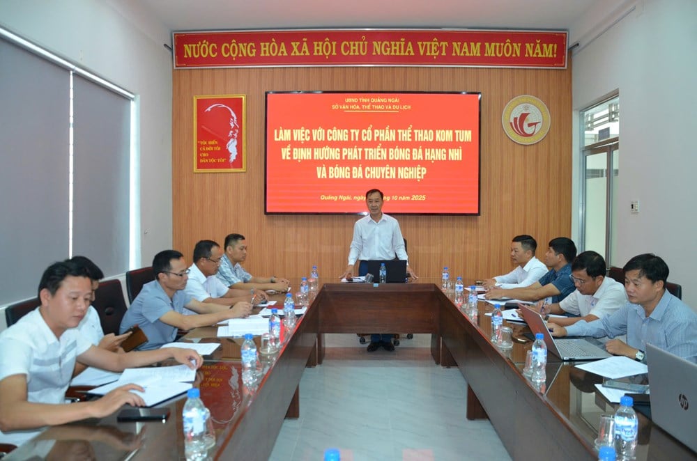 Quảng Ngãi định hướng phát triển bóng đá hạng Nhì và bóng đá chuyên nghiệp - ảnh 1