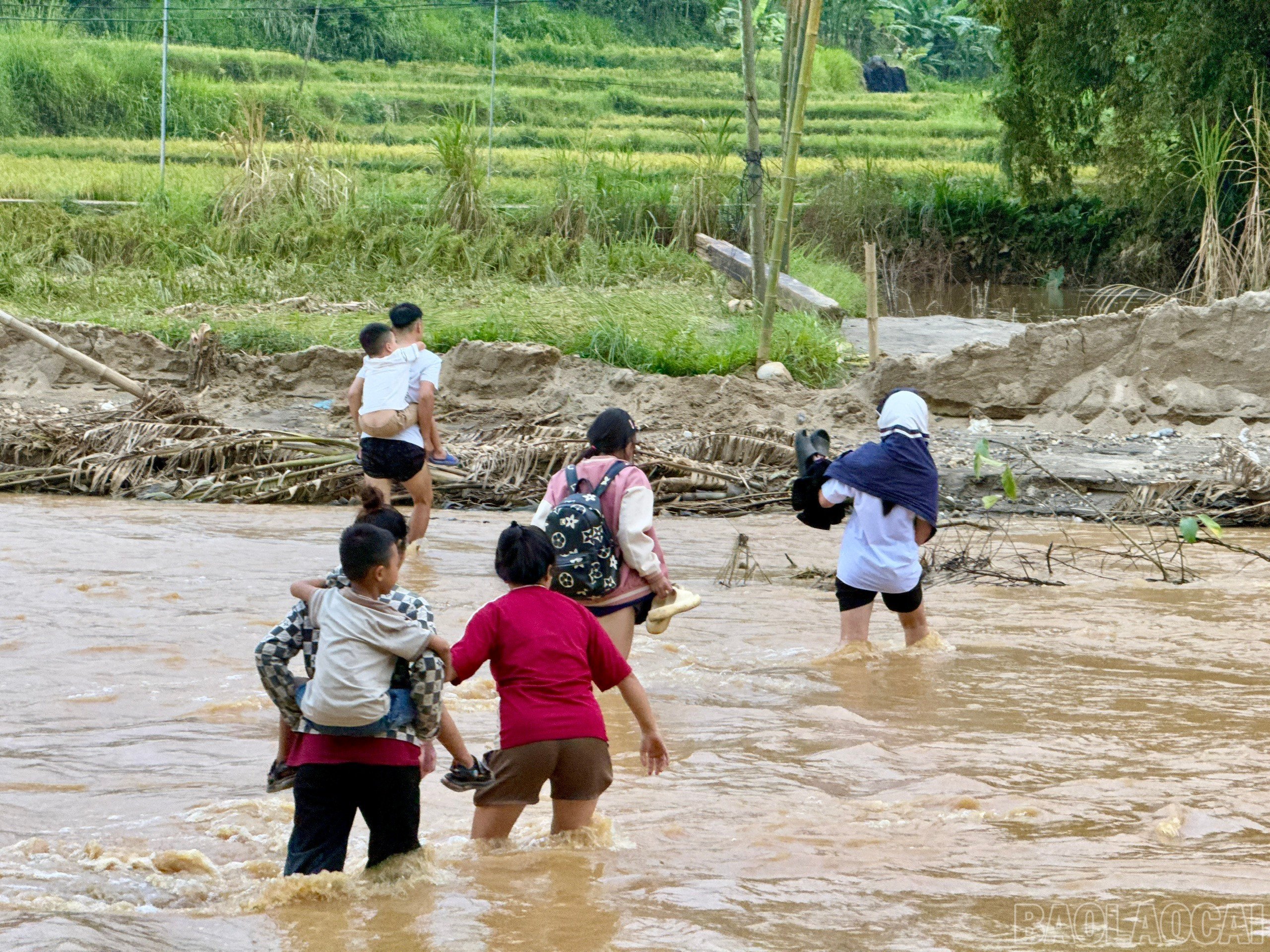 baolaocai-br_z7119518779511-c126189b9c452a135b715a4b734aca70.jpg