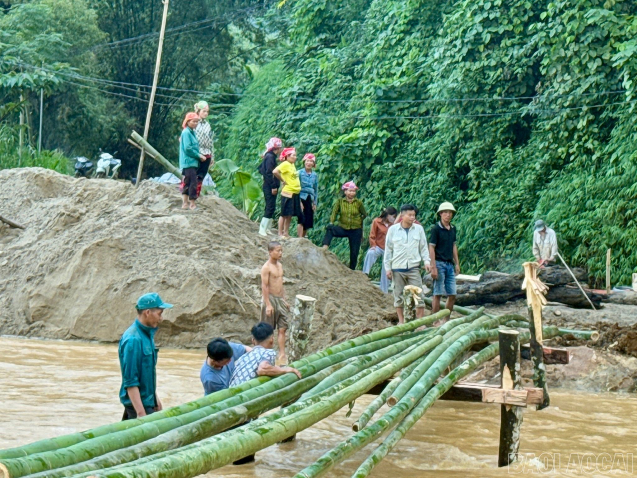 baolaocai-br_z7119519689067-6acade8a7064f22f67fc849a2f1679c0.jpg