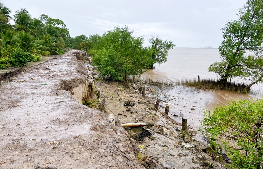 The dike in My Hiep A hamlet, Nhi Long commune suffered severe landslides, affecting production and people's lives.