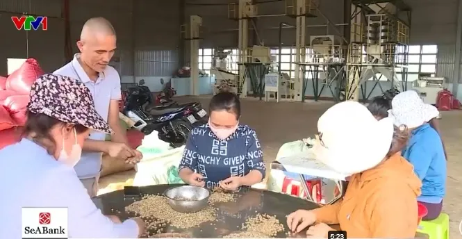 Siết hoàn thuế VAT: Doanh nghiệp nông sản “khát” vốn lưu động - Ảnh 2.