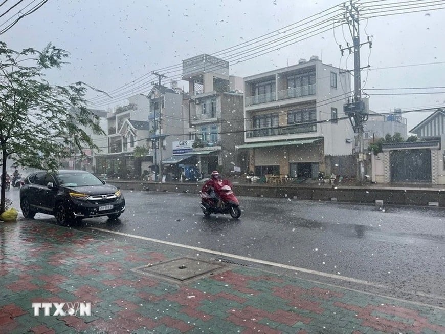 រូបភាព៖ VNA
