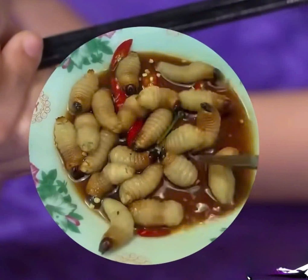 Tài tử Hàn Quốc nhắm mắt, toát mồ hôi khi ăn đuông dừa ở Việt Nam - 2
