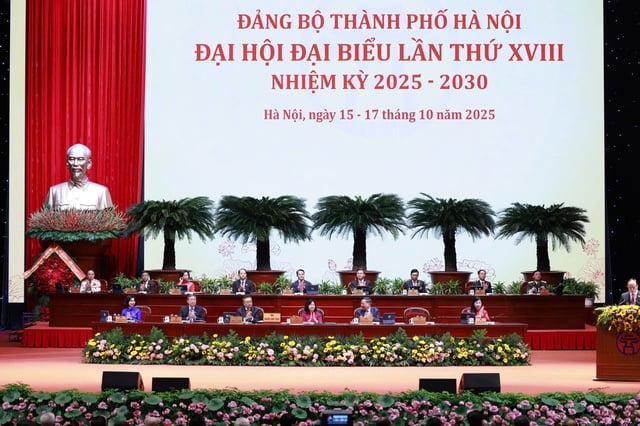 - Ảnh 7. - Ảnh 7.