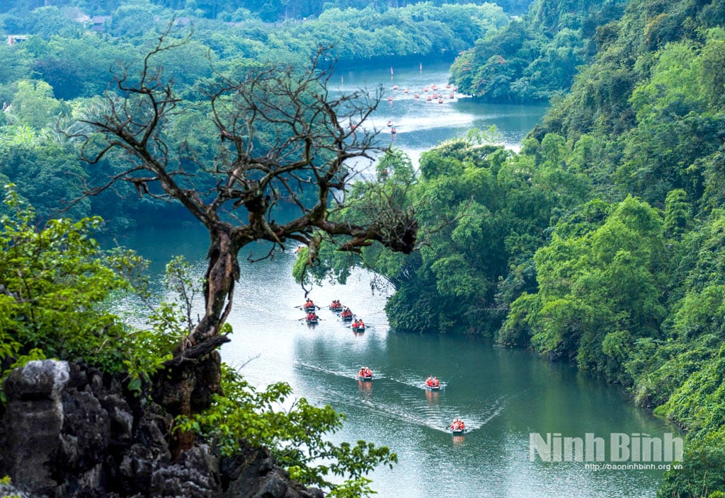 ট্রাং আন - প্রাচীন রাজধানীর প্রাণকেন্দ্রে অবস্থিত একটি মনোরম ভূদৃশ্য চিত্রকর্ম। ছবি: নগোক লিন।