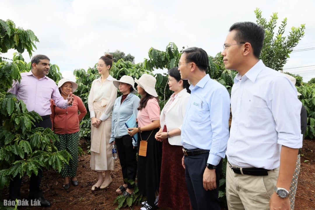 Representatives visited coffee gardens and shared experiences in sustainable farming.
