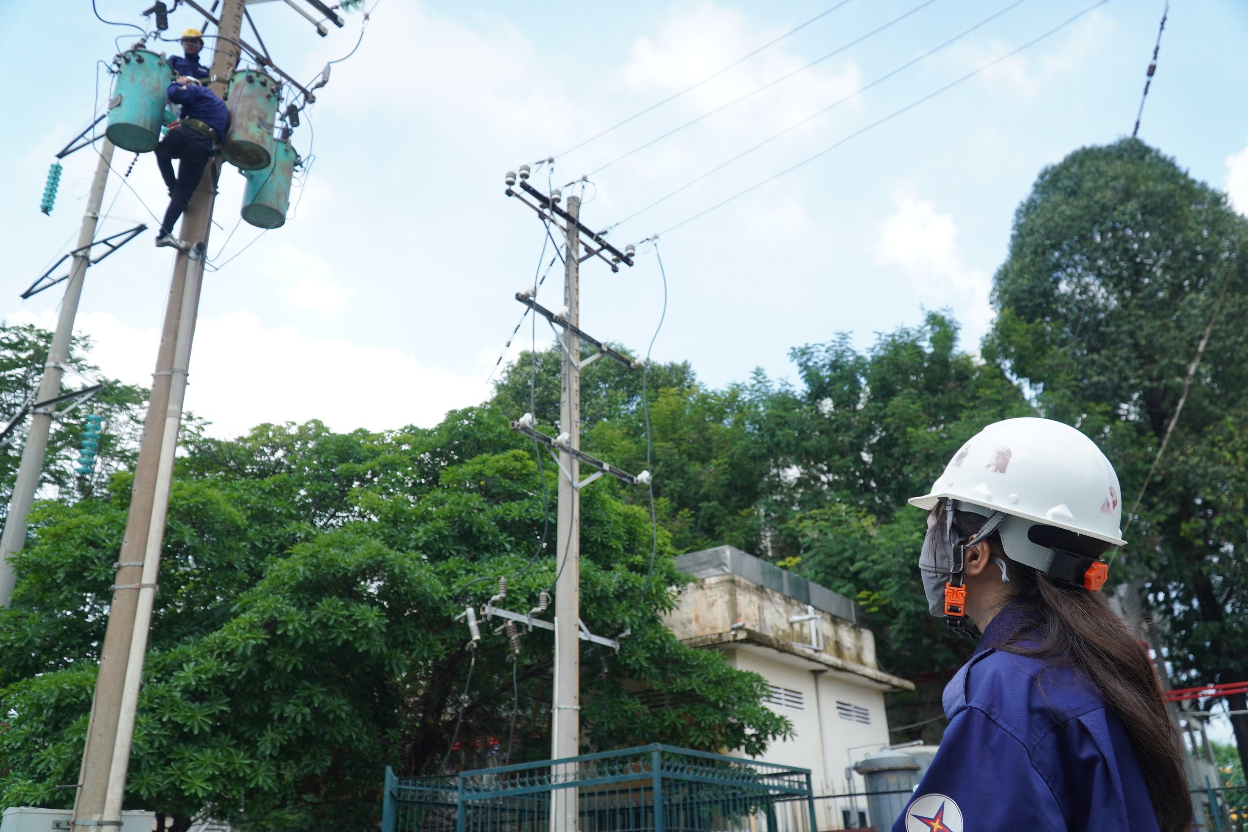 Những bóng hồng 