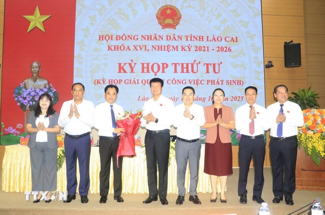 ttxvn-trinh-viet-hung2.jpg