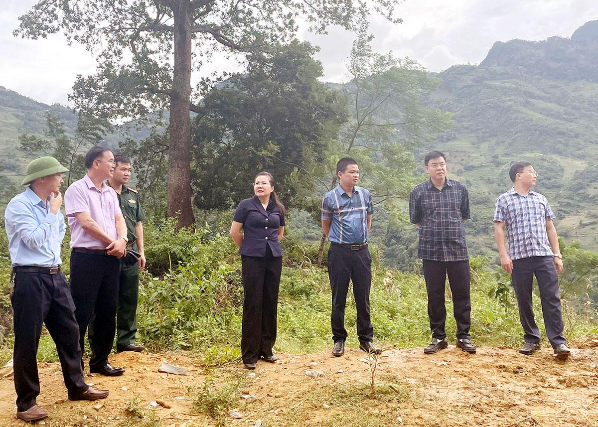 The Vice Chairman of the Provincial People's Committee inspected the planned relocation site of 17 households.