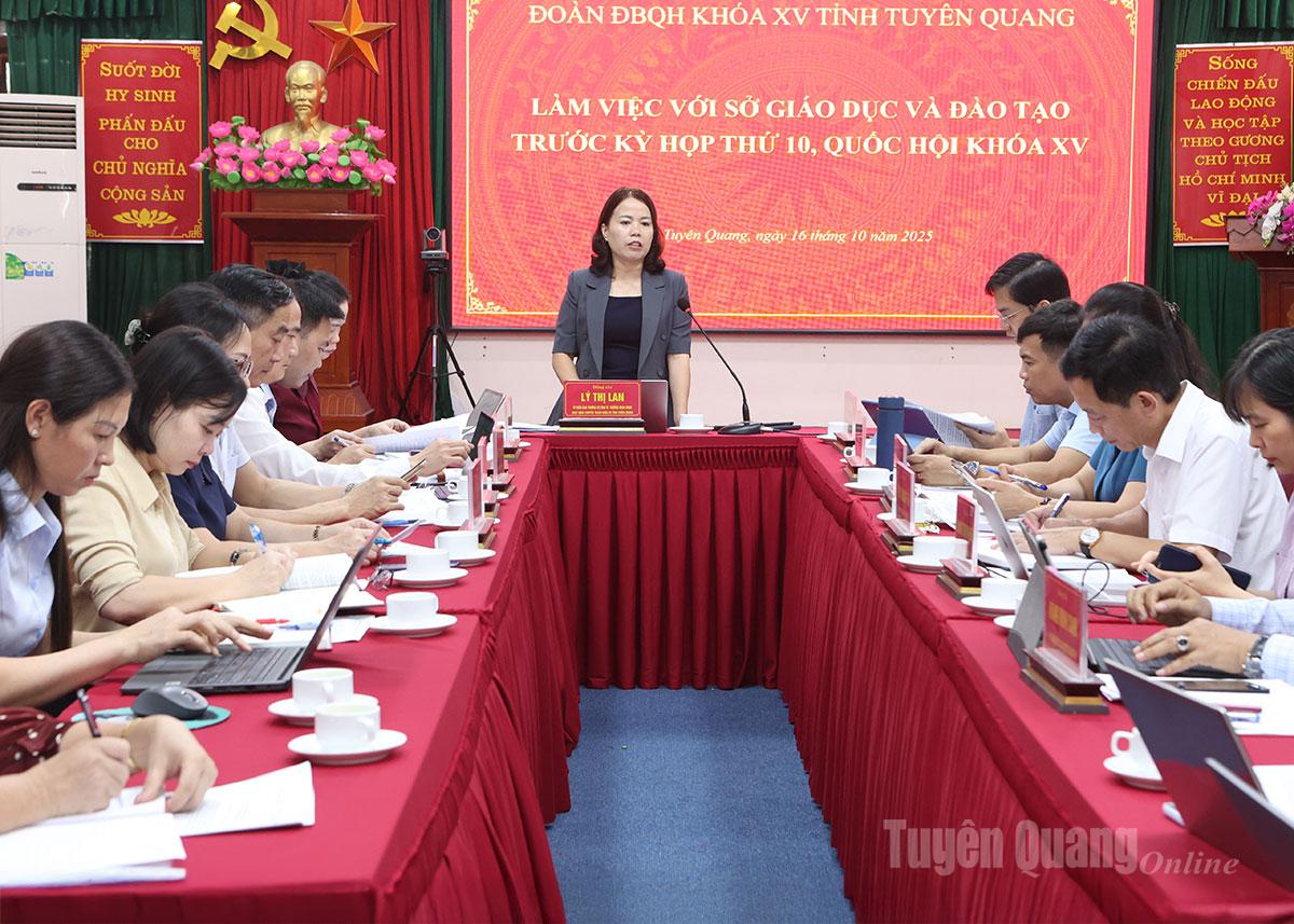 Genossin Ly Thi Lan, Mitglied des Ständigen Parteiausschusses der Provinz und Leiterin der Delegation der 15. Nationalversammlung der Provinz, sprach auf der Arbeitssitzung.