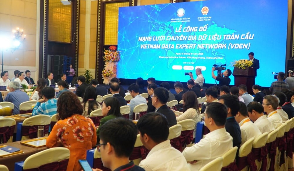 A rede global de especialistas em dados conta com a participação de quase 80 vietnamitas em vários países - foto 1