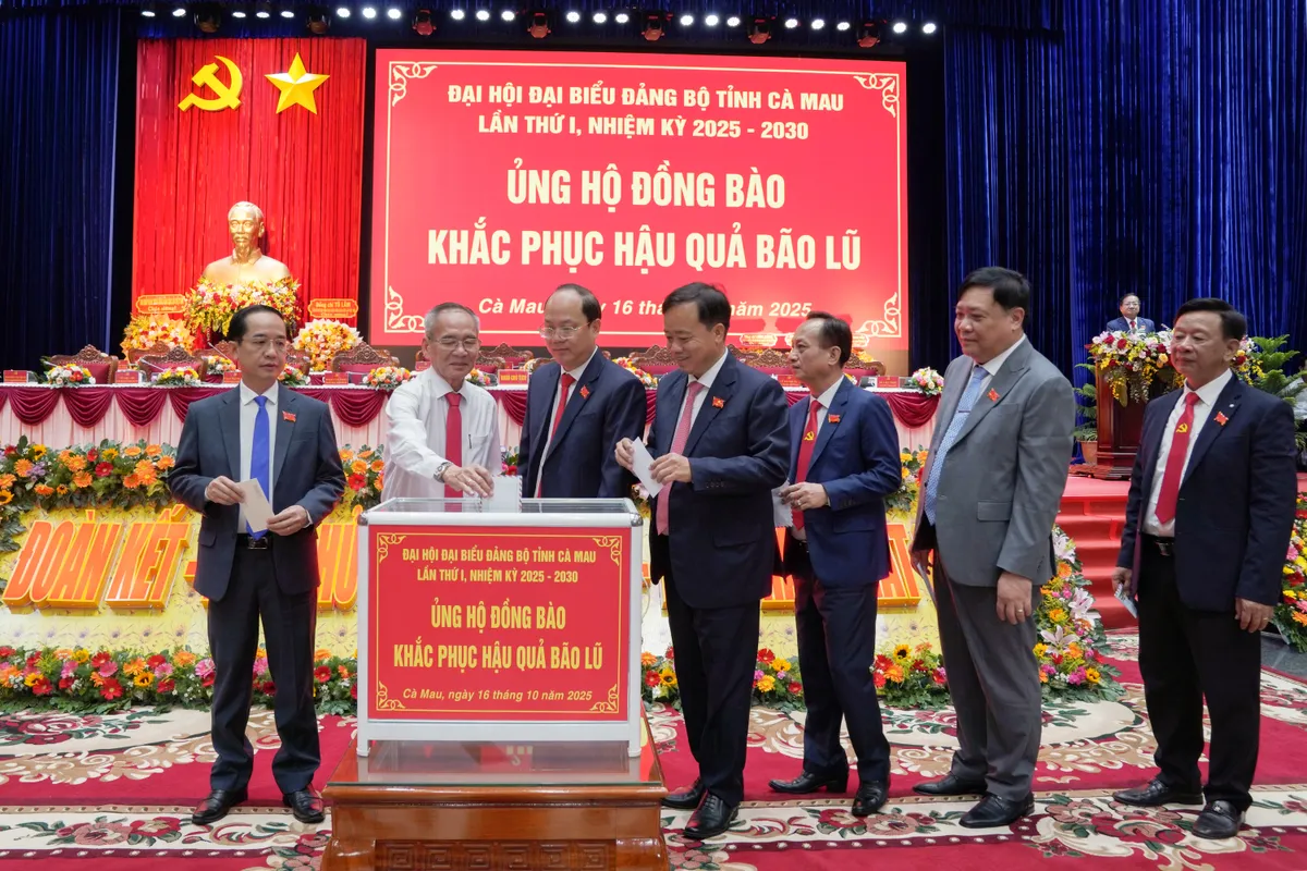 Cà Mau đột phá với Đại hội “không giấy” - Ảnh 3.