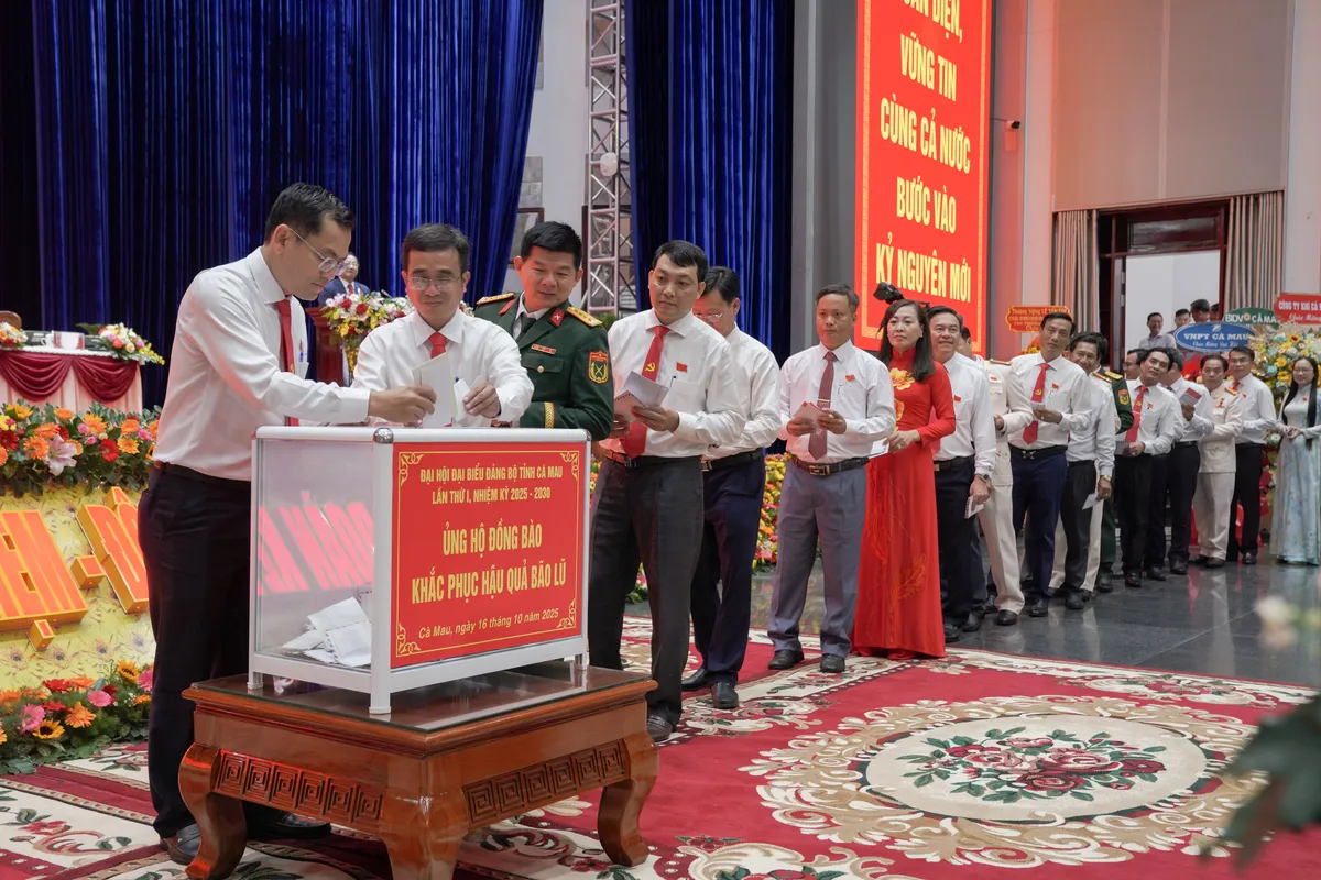 Cà Mau đột phá với Đại hội “không giấy” - Ảnh 4.