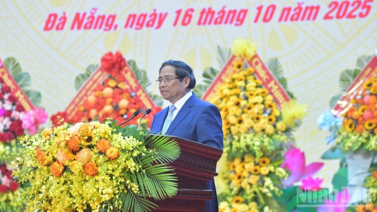 ndo_br_b1-3960.jpg