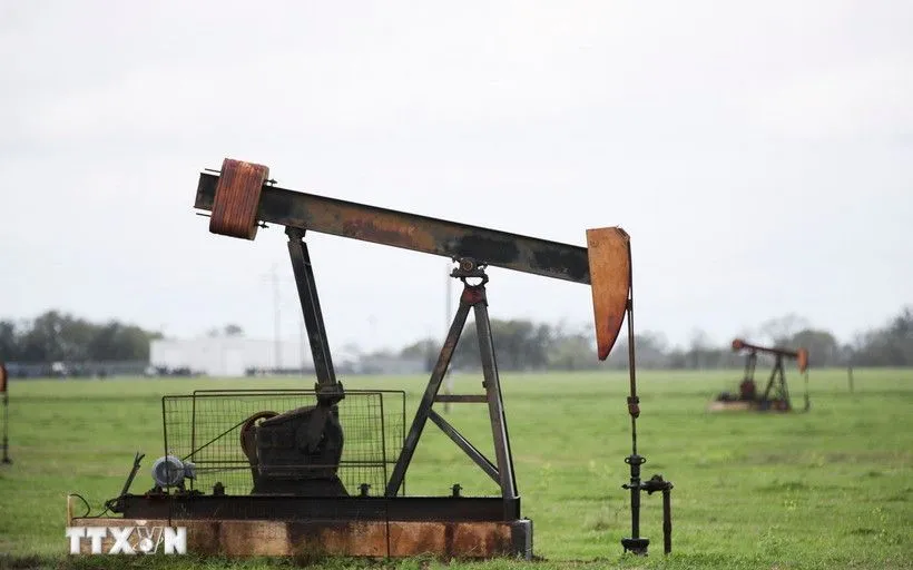 Plataforma de petróleo no Texas, EUA. (Fonte: THX/TTXVN) Giàn khoan dầu tại Texas, Mỹ. (Nguồn: THX/TTXVN)