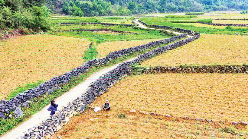 របងថ្មដែលឈរសាកល្បងនៃពេលវេលាបង្កើតទេសភាពតែមួយគត់។