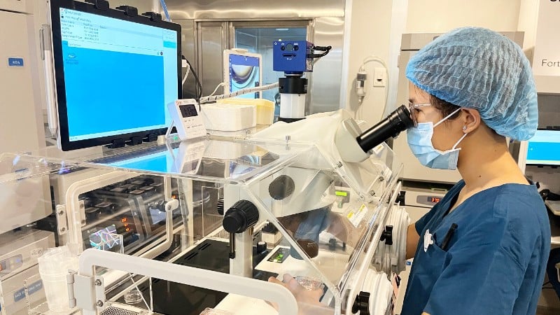 専用の受精卵培養培地に卵子を接種します。