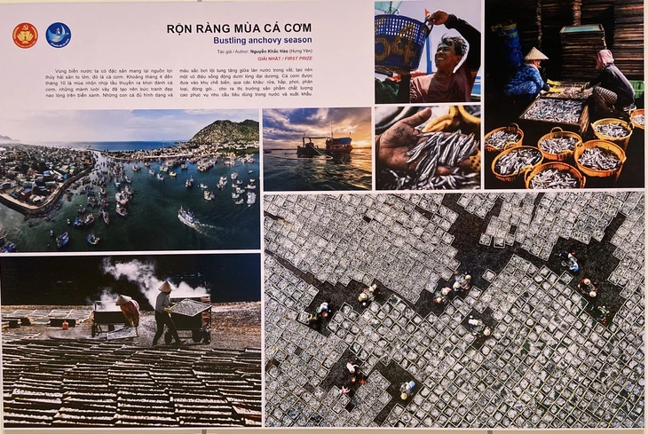 Tổ quốc bên bờ sóng - Ảnh 4.